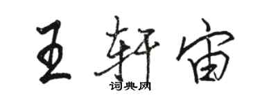 骆恒光王轩宙行书个性签名怎么写