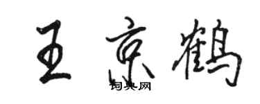 骆恒光王京鹤行书个性签名怎么写
