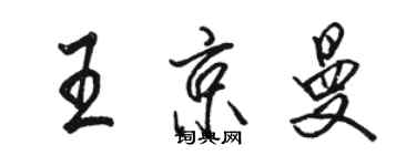 骆恒光王京曼行书个性签名怎么写