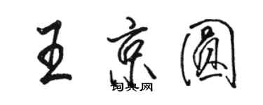 骆恒光王京圆行书个性签名怎么写