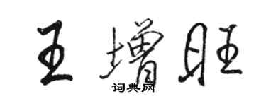 骆恒光王增旺行书个性签名怎么写