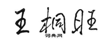 骆恒光王桐旺行书个性签名怎么写