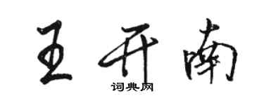 骆恒光王开南行书个性签名怎么写