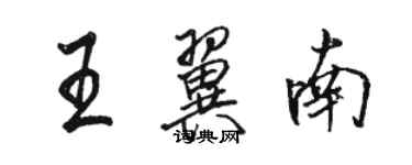 骆恒光王翼南行书个性签名怎么写
