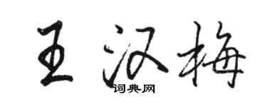 骆恒光王汉梅行书个性签名怎么写