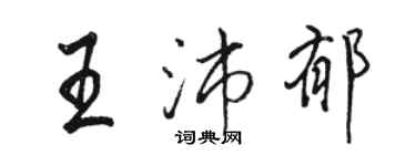 骆恒光王沛郁行书个性签名怎么写