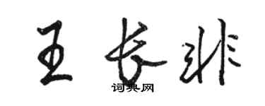 骆恒光王长非行书个性签名怎么写