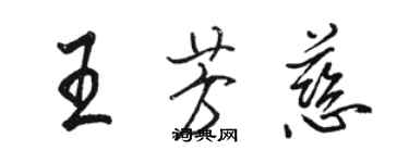 骆恒光王芳慈行书个性签名怎么写