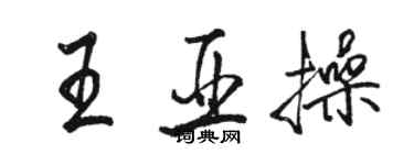 骆恒光王亚操行书个性签名怎么写