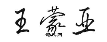 骆恒光王蒙亚行书个性签名怎么写