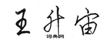 骆恒光王升宙行书个性签名怎么写