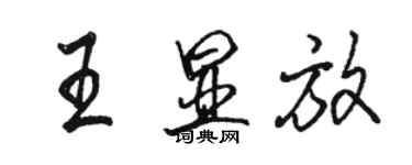 骆恒光王显放行书个性签名怎么写