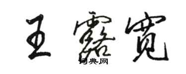 骆恒光王露宽行书个性签名怎么写