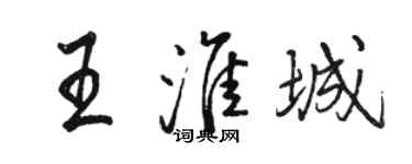 骆恒光王淮城行书个性签名怎么写