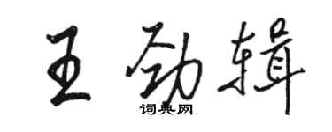骆恒光王劲辑行书个性签名怎么写