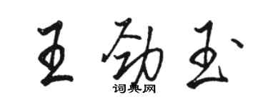 骆恒光王劲玉行书个性签名怎么写