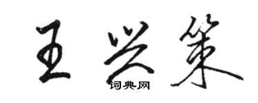 骆恒光王兴策行书个性签名怎么写