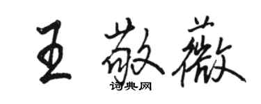骆恒光王敬薇行书个性签名怎么写