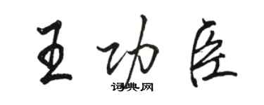 骆恒光王功臣行书个性签名怎么写