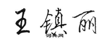 骆恒光王镇丽行书个性签名怎么写