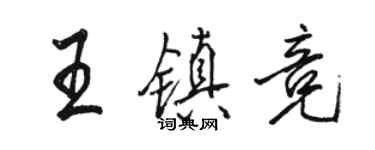 骆恒光王镇竞行书个性签名怎么写