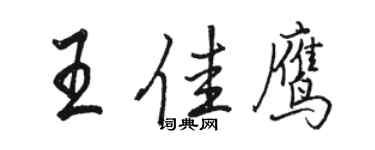 骆恒光王佳鹰行书个性签名怎么写