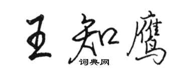 骆恒光王知鹰行书个性签名怎么写