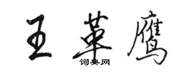骆恒光王革鹰行书个性签名怎么写