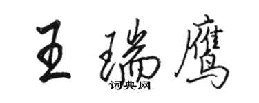 骆恒光王瑞鹰行书个性签名怎么写