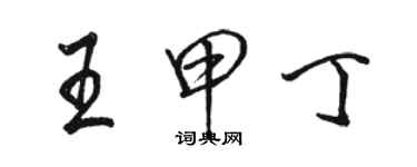 骆恒光王甲丁行书个性签名怎么写