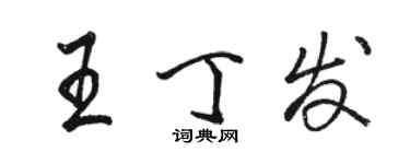 骆恒光王丁发行书个性签名怎么写