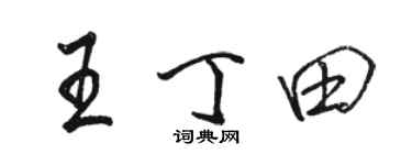 骆恒光王丁田行书个性签名怎么写