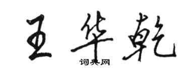 骆恒光王华乾行书个性签名怎么写