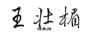 骆恒光王壮楣行书个性签名怎么写