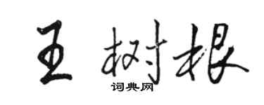 骆恒光王树根行书个性签名怎么写