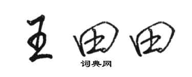 骆恒光王田田行书个性签名怎么写