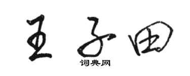 骆恒光王子田行书个性签名怎么写