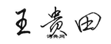 骆恒光王贵田行书个性签名怎么写