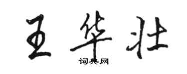 骆恒光王华壮行书个性签名怎么写