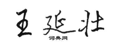 骆恒光王延壮行书个性签名怎么写