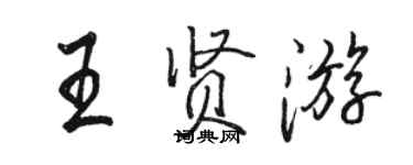 骆恒光王贤游行书个性签名怎么写