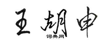 骆恒光王胡申行书个性签名怎么写