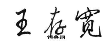 骆恒光王存宽行书个性签名怎么写