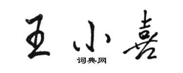 骆恒光王小喜行书个性签名怎么写