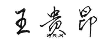 骆恒光王贵昂行书个性签名怎么写