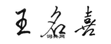 骆恒光王名喜行书个性签名怎么写