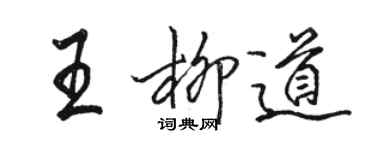 骆恒光王柳道行书个性签名怎么写