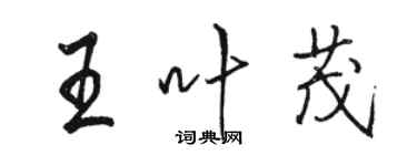 骆恒光王叶茂行书个性签名怎么写