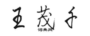骆恒光王茂千行书个性签名怎么写