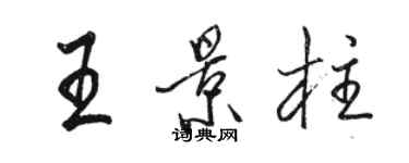 骆恒光王景柱行书个性签名怎么写
